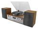 Виниловый проигрыватель Soundmaster Elite line PL895 фото 2