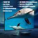 Портативний міні-DVD-плеєр Tojock фото 7