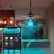 Умная LED лампа Philips Hue E27 600 лм с голосовым управлением фото 2
